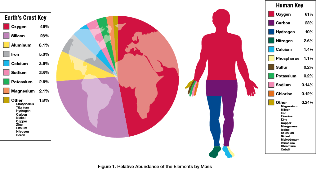 Relative Abundance of the Elements by Mass