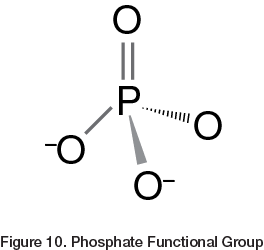 Phosphate Functional Group