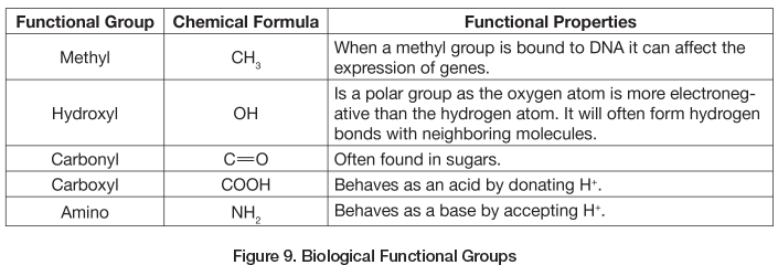 Biological Functional Groups