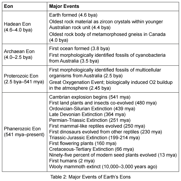 151 Earths Atmosphere Worksheet Answers - The Engineering Internship